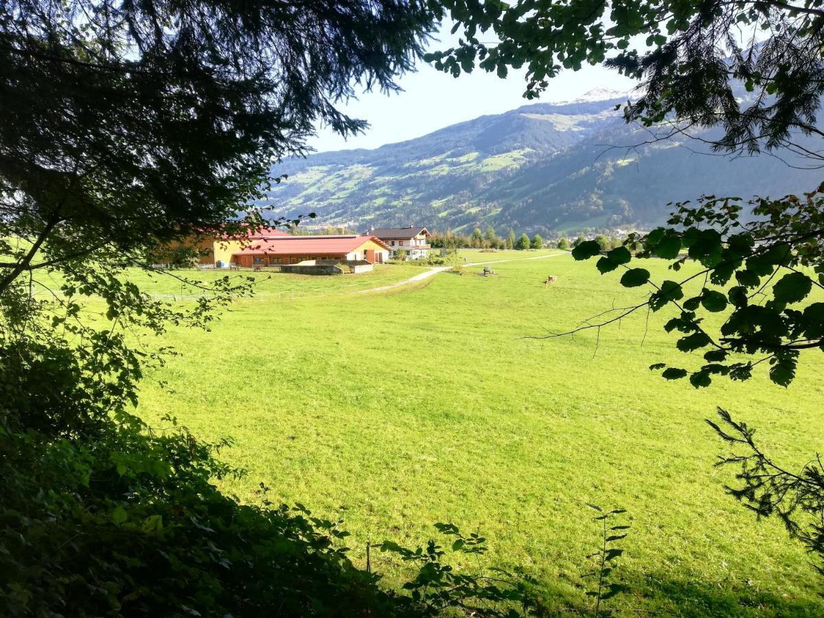 Appartement Boeglerhof à Uderns Extérieur photo
